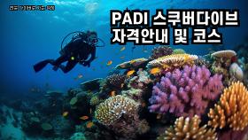 갤러리 이미지PADI 스쿠버다이브 자격안내 및 코스 안내 _전문 다이버로 가는 여정 !!!!!
