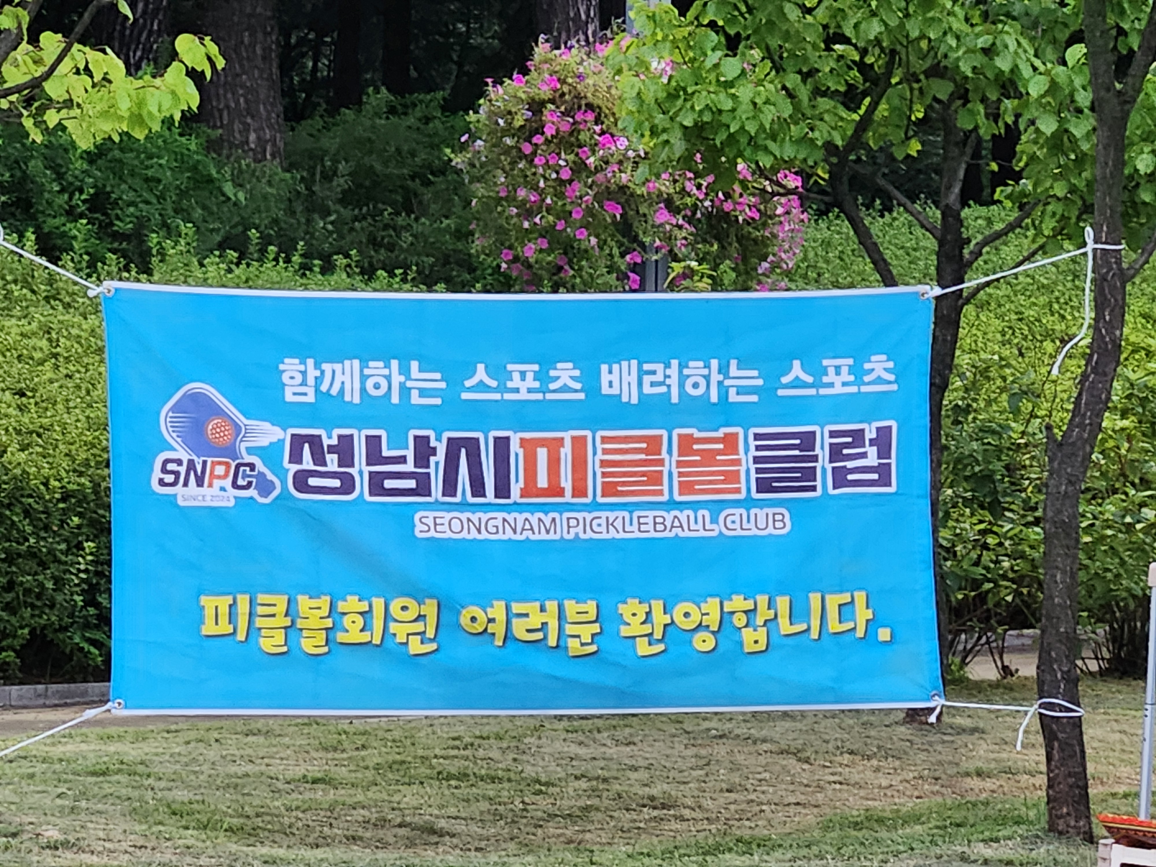 성남시 분당피클볼FUN클럽 로고
