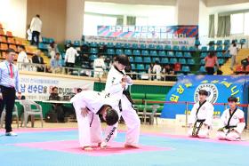 갤러리 이미지2025 전국생활체육대축전 합기도 경기