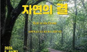 갤러리 이미지 힐링형 요가 프로그램 "제주의 숨, 자연의 결" 운영 사진