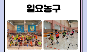 갤러리 이미지2026 달서스포츠클럽 일요농구