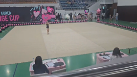 갤러리 이미지자랑스럽고 대견한 우리 리듬체조 꿈나무들의 대회연기 입니다. 