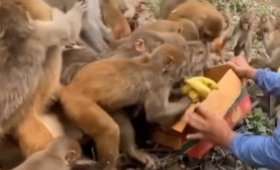 갤러리 이미지체육 시간 특 ㅋㅋㅋㅋ