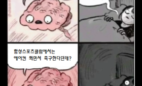 갤러리 이미지잠이 번떡 깨는 사실!