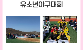 갤러리 이미지2026 대구광역시 동구체육회장배 유소년 야구대회