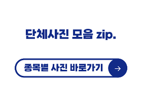갤러리 이미지 2026년 상반기 춘천시 학교스포츠클럽대회 단체사진