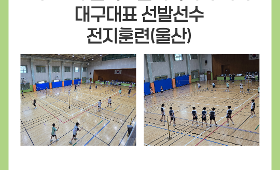 갤러리 이미지 제55회 전국소년체육대회 대비 대구대표 선발선수 전지훈련(울산)