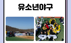 갤러리 이미지2026 달서스포츠클럽 유소년야구